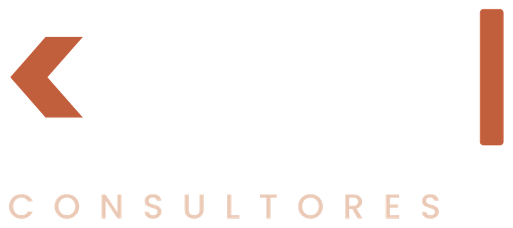 D.T.O Consultores